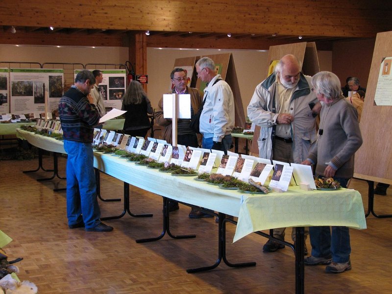 2009 10 Expo champignons de Clairefontaine 38